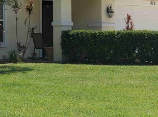 Bush Trimming by Andrew Alsobrook for Alex J. in Jacksonville, FL