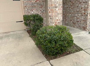 Bush Trimming by Abel Baeza for Jackie G. in Princeton, TX