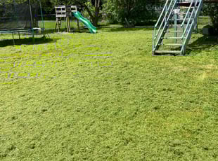 Pamela H.'s Yard Cutting service result