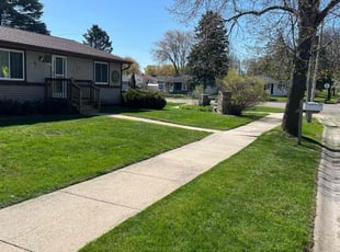 Vassel F.'s Lawn Mowing service result