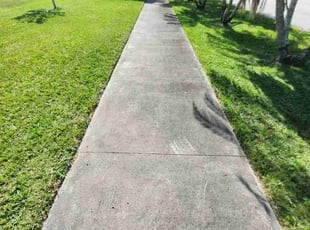 Millie C.'s Lawn Service service result