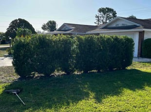 Bush Trimming by Johnny Torres for Tony T. in Sun City Center, FL
