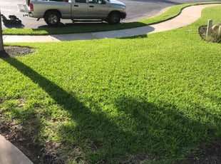 Cedric R.'s Lawn Care service result