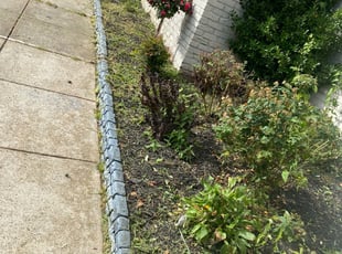 Weeding by Caree Keith for Anthony S. in Washington, DC