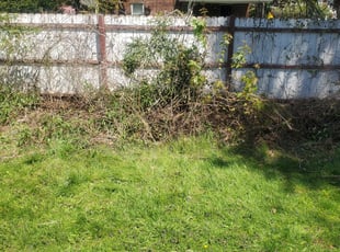 Cleanups by Marvin Simmons for Melissa D. in Cheltenham, PA
