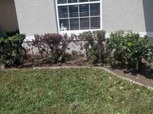 Weeding by Robert Dixon for Indrauti P. in Kissimmee, FL
