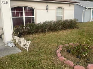 Bush Trimming by Deidra James for Josh M. in Kissimmee, FL