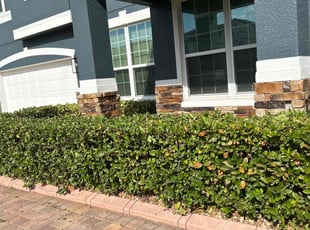 Bush Trimming by Patrick Paul for Mark S. in Oakland, FL
