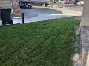 Brian T.'s Lawn Mowing service result