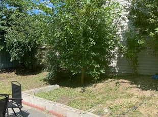Bush Trimming by Randy Regis for Kumar S. in Somerville, MA