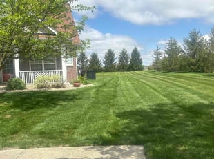 Dorothy R.'s Grass Cutting service result