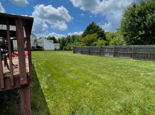 Nate J.'s Lawn Mowing service result