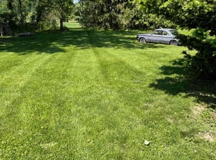 Holly G.'s Lawn Mowing service result