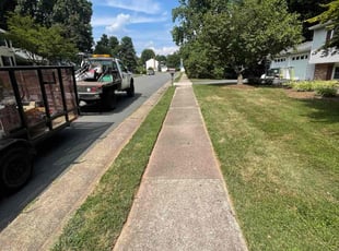 Tony C.'s Grass Cutting service result
