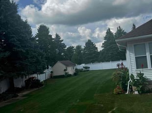 Rodney J.'s Lawn Mowing service result