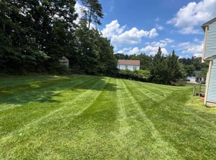 Donna M.'s Lawn Maintenance service result