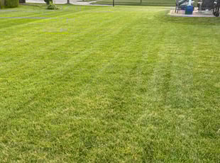 Smith D.'s Lawn Care service result