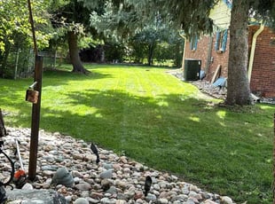 Mario C.'s Lawn Service service result