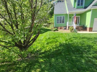 Bryant V.'s Grass Cutting service result
