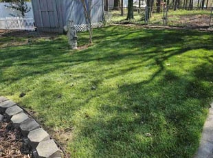 John H.'s Lawn Care service result