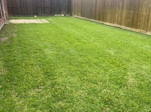 Linda C.'s Lawn Care service result