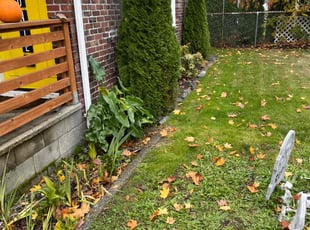 Bush Trimming by Joseph Fullner for Kelsey B. in Tacoma, WA
