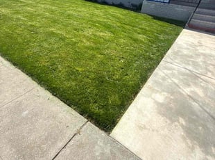 Yolette P.'s Lawn Maintenance service result