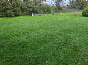 Ruth M.'s Yard Cutting service result