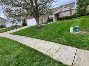 Rashonn D.'s Grass Cutting service result