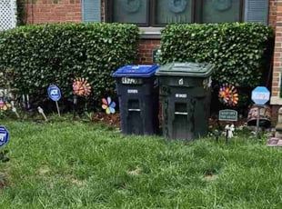Bush Trimming by James Mckenzie for Flora F. in Washington, DC