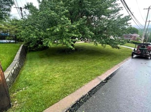 Thomas A.'s Lawn Care service result