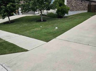 Carlos L.'s Lawn Care service result
