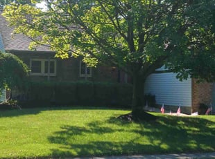 Bhargab K.'s Lawn Mowing Service service result