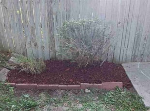 Mulching by William Beacham for Sherita H. in Wichita, KS