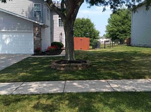 Lynn N.'s Lawn Service service result