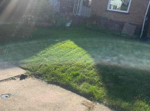 William S.'s Lawn Mowing Service service result
