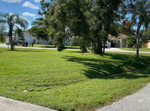 Sasha H.'s Lawn Service service result