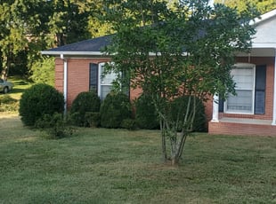 Bush Trimming by Erik Carvotta for Tara O. in Gallatin, TN