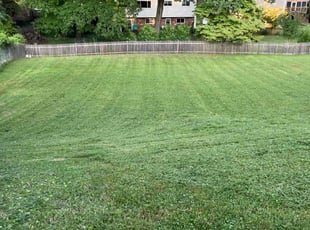 Melissa C.'s Yard Cutting service result
