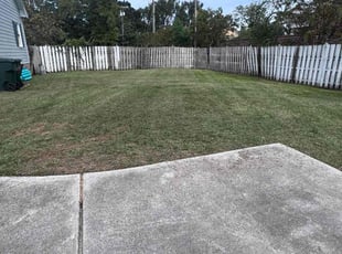 Mark K.'s Lawn Care service result