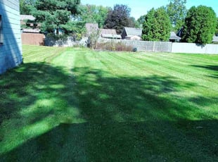 Nancy J.'s Lawn Mowing Service service result