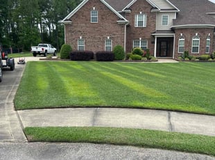 Darryl M.'s Lawn Maintenance service result