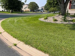 Saundra A.'s Yard Cutting service result
