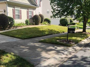 Ananda R.'s Lawn Care service result