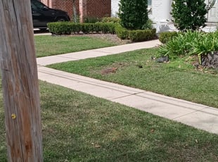 Leaf Removal by Gerald Helmke for Shree R. in Metairie, LA