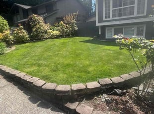 Deepak M.'s Grass Cutting service result