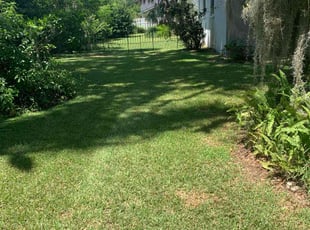 Omari M.'s Lawn Mowing service result