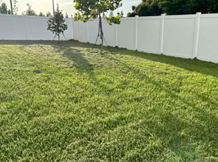 Marlon M.'s Lawn Service service result