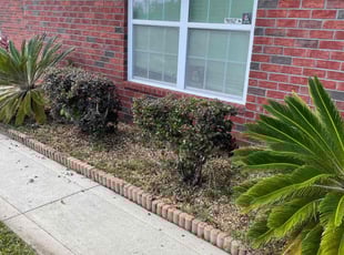 Bush Trimming by Christopher Ruiz for Paul W. in Callahan, FL