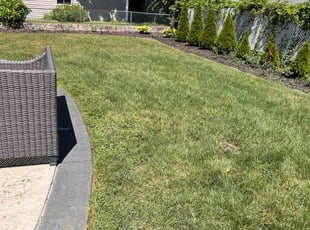 Lekeya H.'s Lawn Service service result